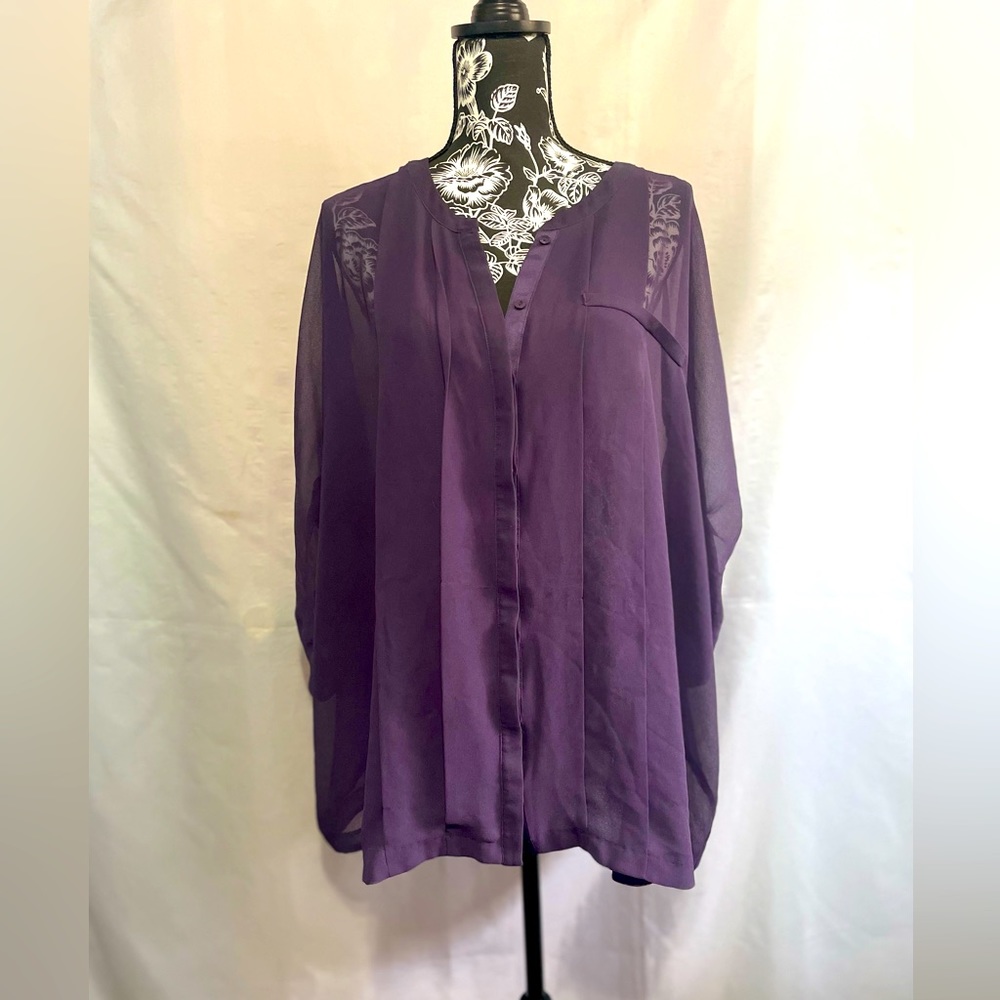 Sheer Blouse